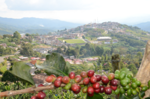 Eje Cafetero view