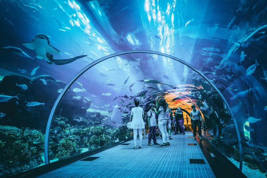 Dubai Aquarium underwater
