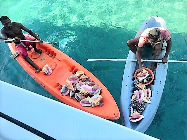 Anse Cochon
