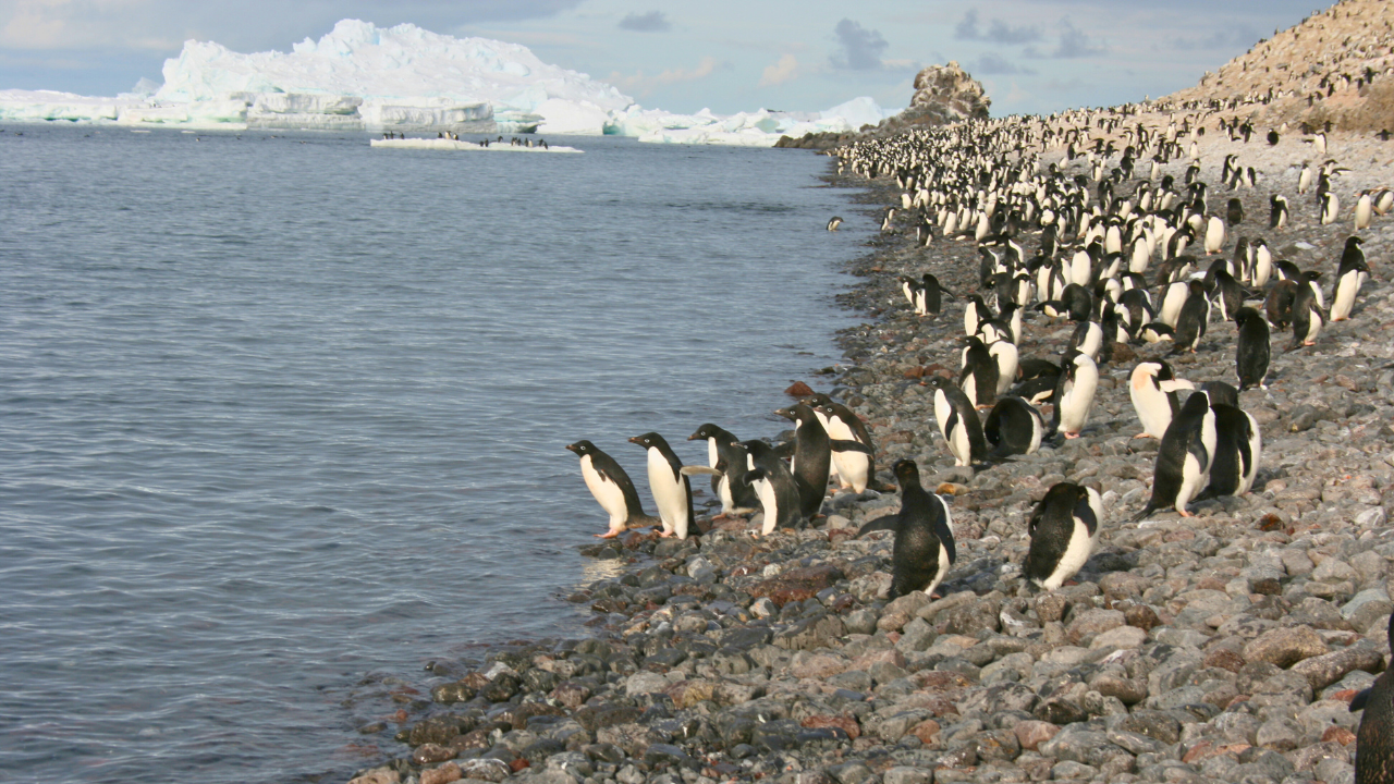 Antarctica travel