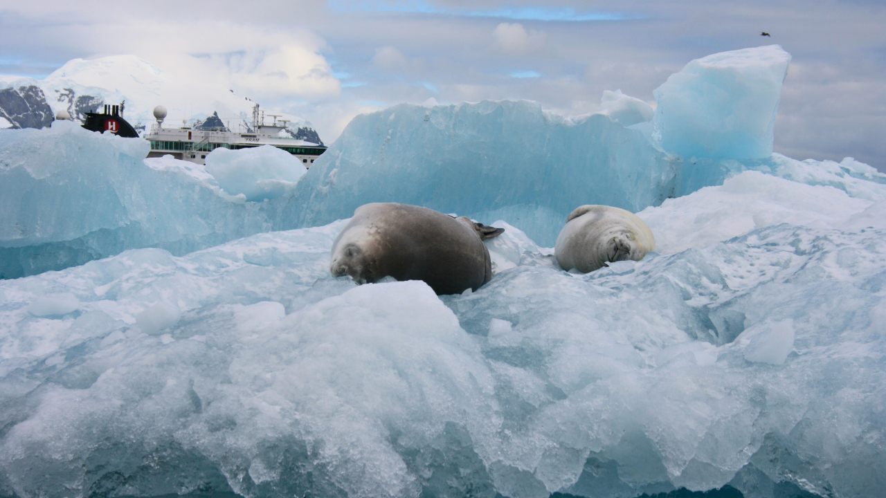 Antarctica travel