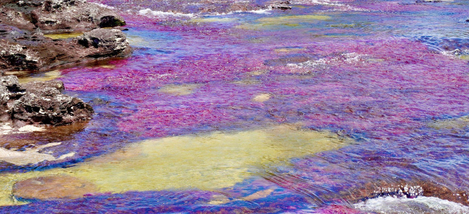 Caño Cristales