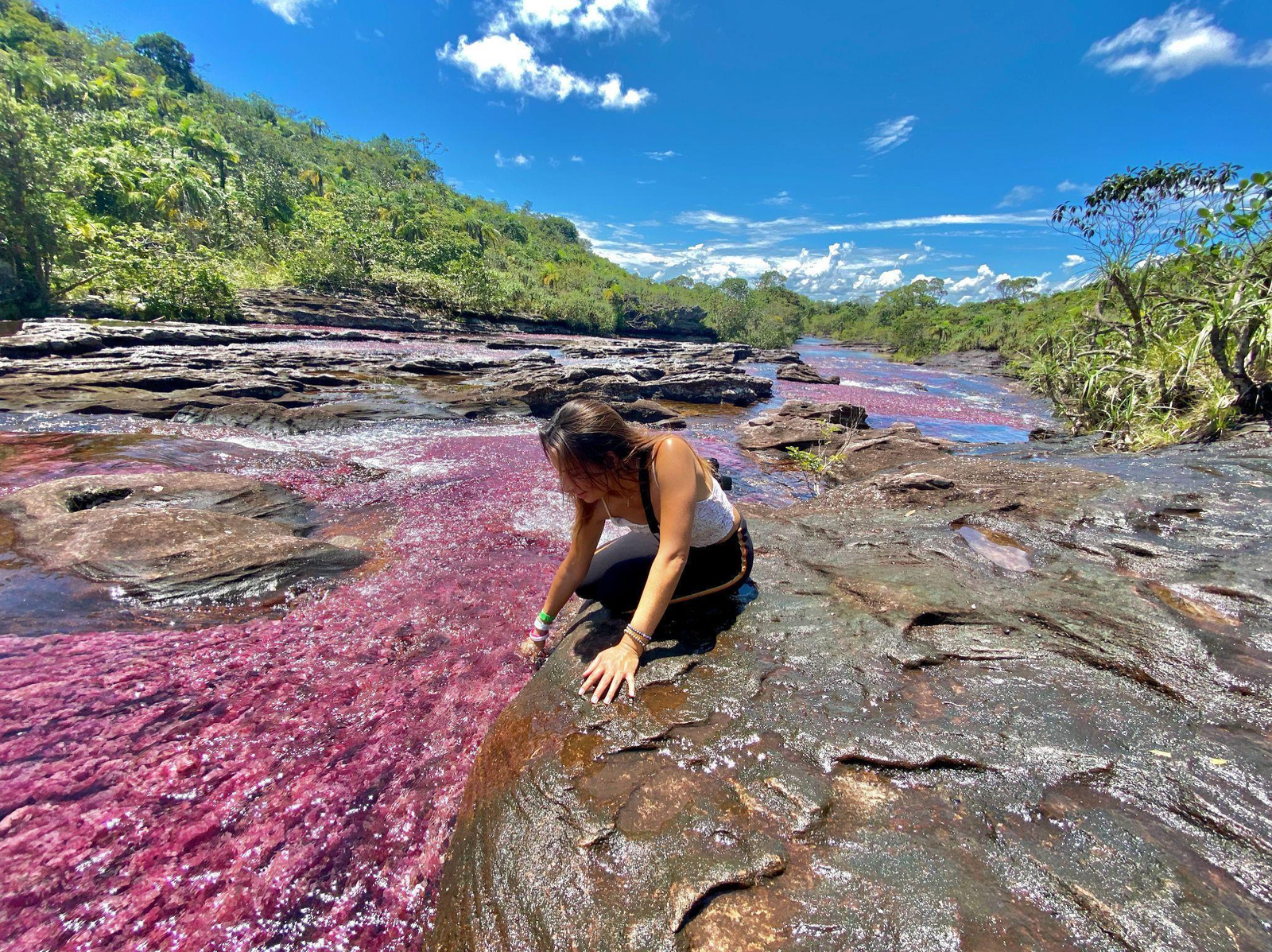 Caño Cristales