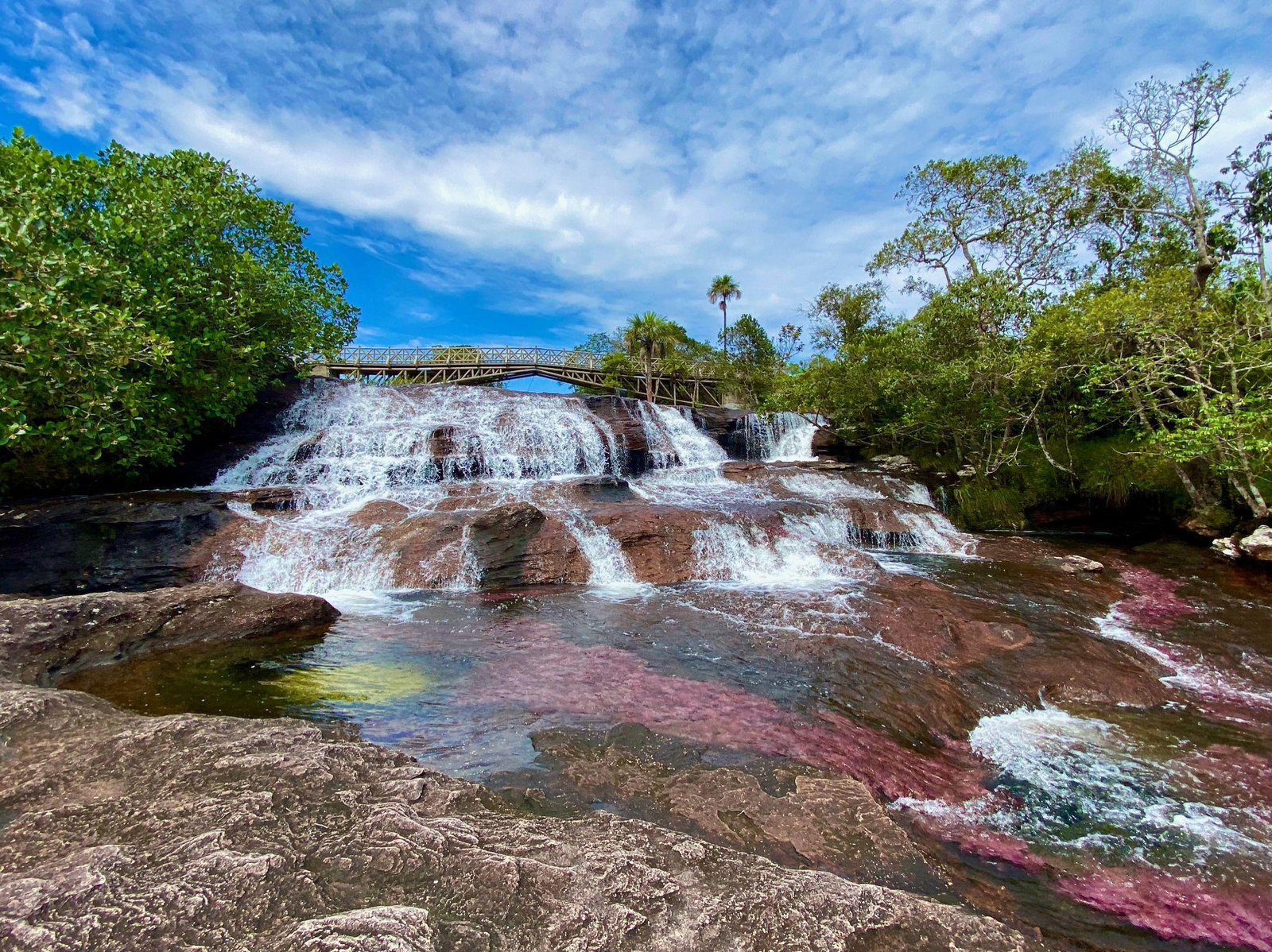 Caño Cristales