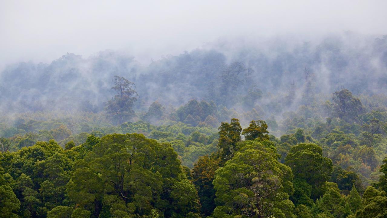 Tasmania