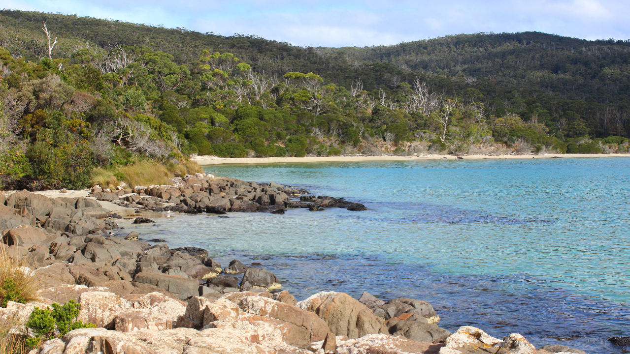 Cockle Creek