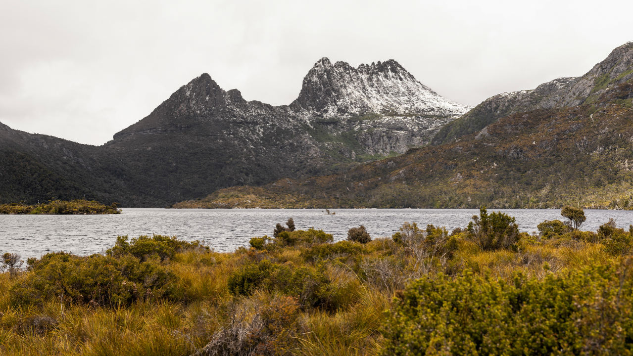 Tasmania