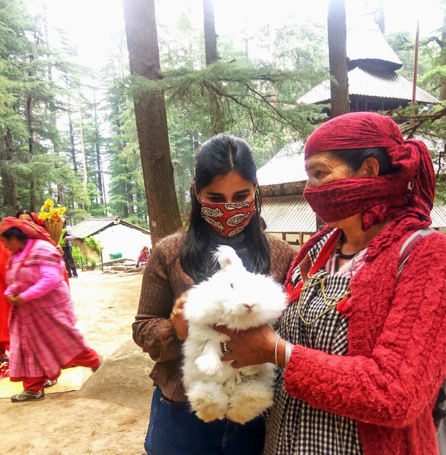 Engaging in local activities